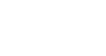 Lyon Shipyard & Fabrication - A Tecnico Company Logo